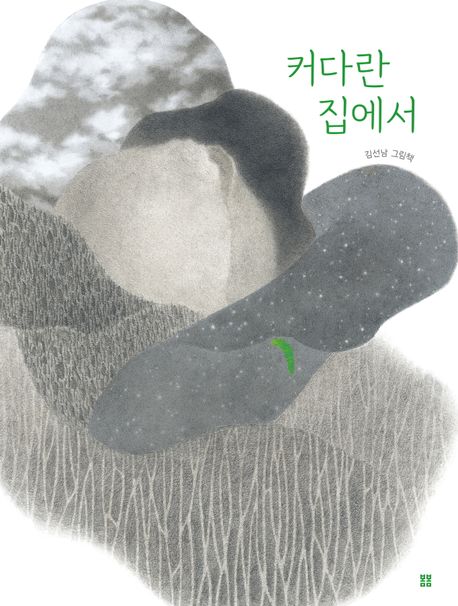 커다란 집에서 : 김선남 그림책