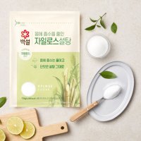 백설 하얀 자일로스 설탕 1KG