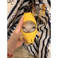 해피캣 바나나캣 인형 봉제 미니 키링 밈 고양이 meme cat 인스타 banana