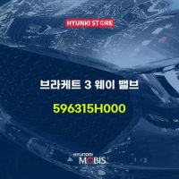 브라케트 3 웨이 밸브 (596315H000)