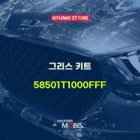 현대모비스그리스 키트 (58501T1000FFF)