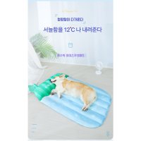 트렌독 강아지 쿨링매트 얼음매트 강아지돗자리 고양이 겸용  M