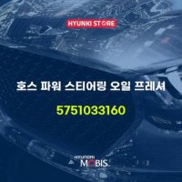 호스 파워 스티어링 오일 프레셔 (5751033160)