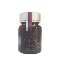 청솔 청솔 차가버섯 추출분말 25g