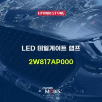 LED 테일게이트 램프 (2W817AP000)