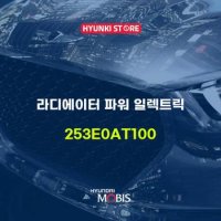 현대모비스라디에이터 파워 일렉트릭 (253E0AT100)