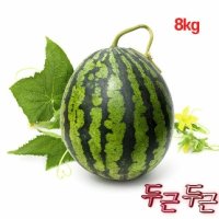 겨울수박 제철과일 미니수박 8kg - UnKnown