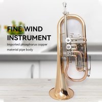 Bb Flugelhorn 악기 황동 소재 래커 표면 케이스 마우스피스 전문 공연 고품질