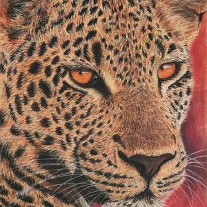 🐆감각적&강렬한 노을지는사파리의 표범 , 와일드아트스튜디오