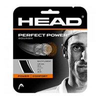 헤드 Head 스쿼시 단일 문자열 Perfect Power 10 M 10034