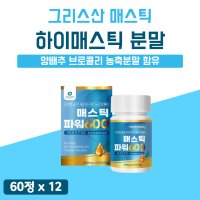 양배추 메스틱 분말 껌 가루 그리스 매스틱검 정 타입