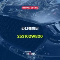 현대모비스라디에이터  (253102W800)