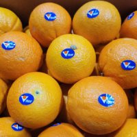 실속형 호주 네이블 오렌지 17kg(사이즈랜덤)