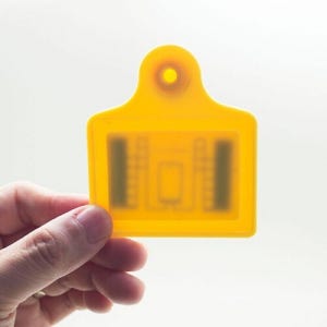 UHF RFID 가축용 귀 태그