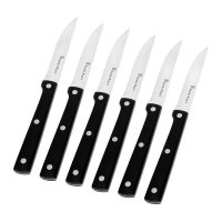 Stanley Rogers Bistro Steak Knives set 스탠리 로저스 비스트로 스테이크 나이프 세트 6pc