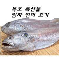 민어조기 민어굴비 1마리 통치 새끼민어 반건조민어 건조생선  반건조민어(민어굴비)(소) 1마리