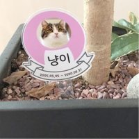 강아지 묘비 사진 팻말 이름표 반려동물 수목장 반려묘 인쇄 고양이 위패 반려견 명찰