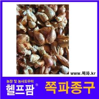 헬프팜 쪽파종구 20Kg 쪽파씨 예천 당파 종구 뿌리