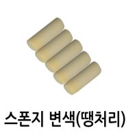 땡처리판매 변색된 스폰지로라 스펀지 5개세트