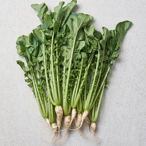 열무 500g
