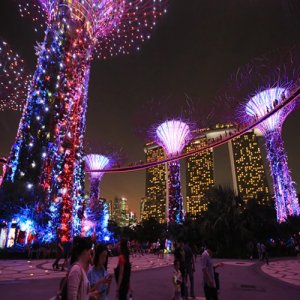 싱가포르 땡처리전용 패키지 땡처리여행 여행 아이와함께 여행사 싱가폴