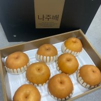 캄므유통 특품 나주 배 5kg(5~7과) 선물용 햇배  단품