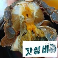 단일상품 대박갓김치 여수 고들빼기김치 2kg. 4시전 당일배송 - 여수 간장게장 간장돌게장 2.2kg