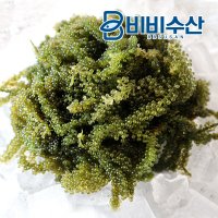 비비수산 프리미엄 바다포도 1팩  1개  100g