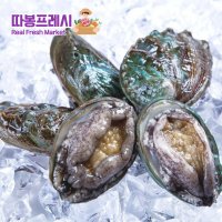 따봉프레시 백화점용 3차선별 완도 황제 활전복 선물세트  [실속형 17-20미] 1kg