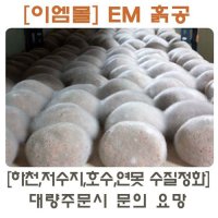 [이엠몰] 업그레이드 EM 세라믹흙공 50개세트(개당350g)  50개