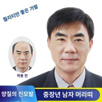 남자가발 중년 남성 아빠 부분 전체 짧은 정수리 스트레이트 미용