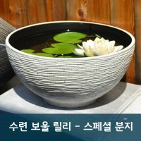 수경 미니 연못 베란다 수반 연꽃 물풀 어항