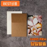 어펄스 미니 엽서봉투10장  그라프트