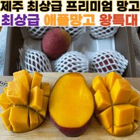 제주 최고급 애플망고 3kg 고당도 대 특대 왕특대  제주산 애플망고 3kg 특대 (7과)