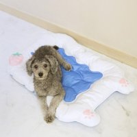 혼시티 강아지 쿨매트 고양이 쿨링 방석 젤타입