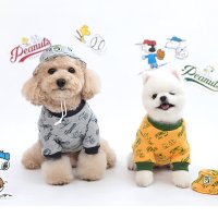 패리스독 피너츠 스누피 베이스볼팀 티셔츠 모자 세트 강아지옷 애견의류 가을