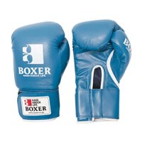 리버살 isami 이사미 복서 글러브 매직 테이프식 8온스 10온스 BOXER 격투기 킥복싱 10온스 IBX-12