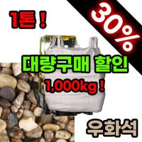 조경스톤 조경석 리얼 우화석 1톤 1000kg 전후 미미네아쿠아