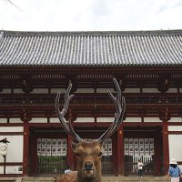 일본 JAPAN 여행 시모노세키 기타규슈야마구치 북큐슈 여행