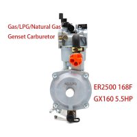 Carburadores 가솔린 발전기 부품 가솔린 LPG 수동 카브레타 키트 2KW 168F ER2500