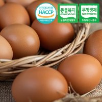 [동물복지/무항생제/HACCP] 웰굿 구운유정란 계란 20구[대-특란]