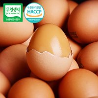 [무항생제/HACCP] 어린닭이 낳아 신선한 구운계란 90구[3판]