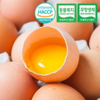 [동물복지/무항생제/HACCP] 웰굿 유정란 계란 60구[대-특란]