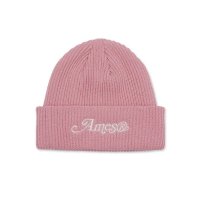 AMES-WORLDWIDE LOGO BEANIE