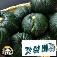 제주 햇 미니밤단호박 3kg  실속형 혼합  실중량 - 제주푸드마씸