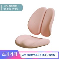 학생 의자 커버 리폼 천갈이 덮개 시트 등커버 방석