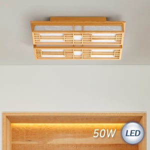 LED 뉴콤비 직사각 50W