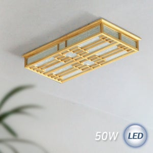 LED 황진이 직사각 50W