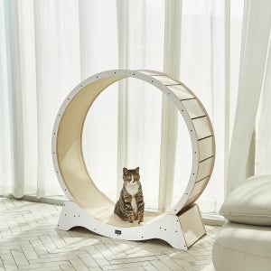 스윗캣 [스윗캣] 고양이캣휠 오리지널 캣휠 1080,1200