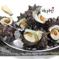 바다수산 통영 자연산 뿔소라1kg(대4~7미)